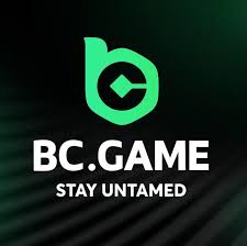 Top Bets at BC.Game Your Ultimate Guide